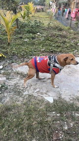 Sreya das review photo