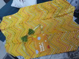 Vaishali Pal review photo