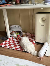 Anonymous review photo