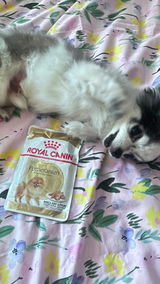 Holly review photo