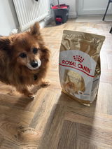 Sam S review photo