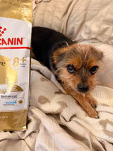 Sammie review photo