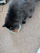 Lyndsey review photo