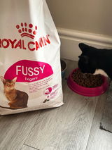 Pixy nixy review photo