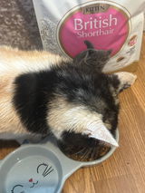 Ceri tichards review photo