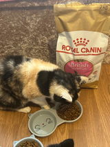 Ceri tichards review photo