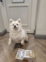 Marnie review photo