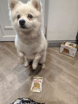 Marnie review photo