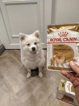 Marnie review photo