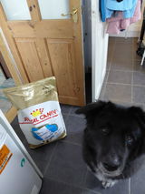 Lynne review photo