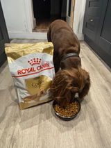Bru’s Mum review photo