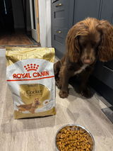 Bru’s Mum review photo
