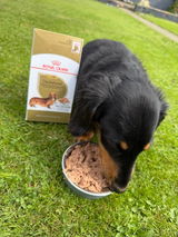 Ashleigh review photo