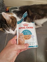 Charliessn review photo