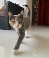 Penelope review photo