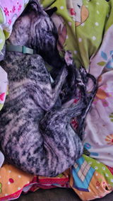 Deb review photo