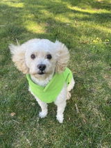 Lisa D. review photo