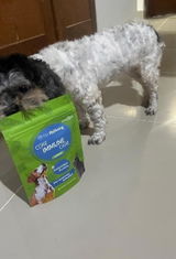 perla m. review photo