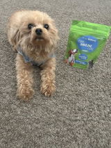 Mo review photo