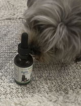 MOLLY review photo