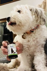 MOLLY review photo