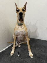 Macy review photo