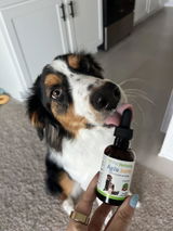 Jennah review photo