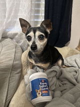 Sadie review photo