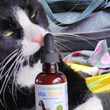 Cat review photo