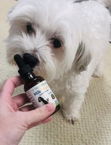 MOLLY review photo