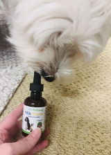 MOLLY review photo