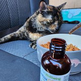 Cat review photo