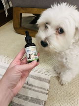 MOLLY review photo