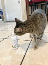 Cat review photo
