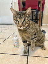 Cat review photo