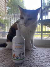 Kylee review photo