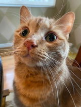 Linda K. review photo