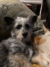 Jenn B. review photo