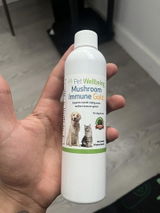 Alessandro review photo