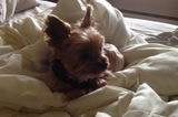 mamilie2-7@hotmail.com review photo