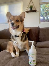 Sandi review photo
