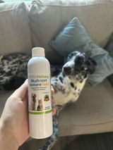 maddalynn review photo
