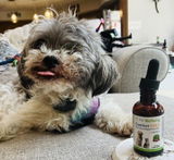 MOLLY review photo