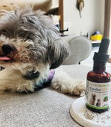 MOLLY review photo