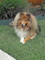 Sue H. review photo