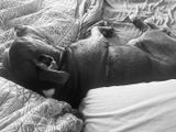 Amy E. review photo