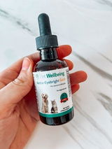 Blerina review photo