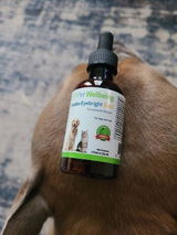 Sytinenia review photo
