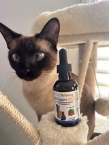 Melina review photo
