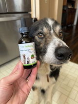 Baylee review photo